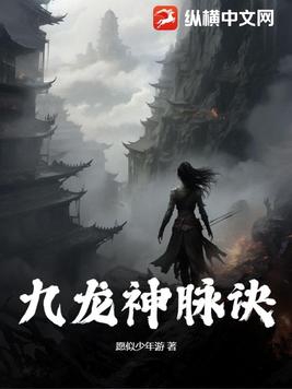 九龙归一诀小说